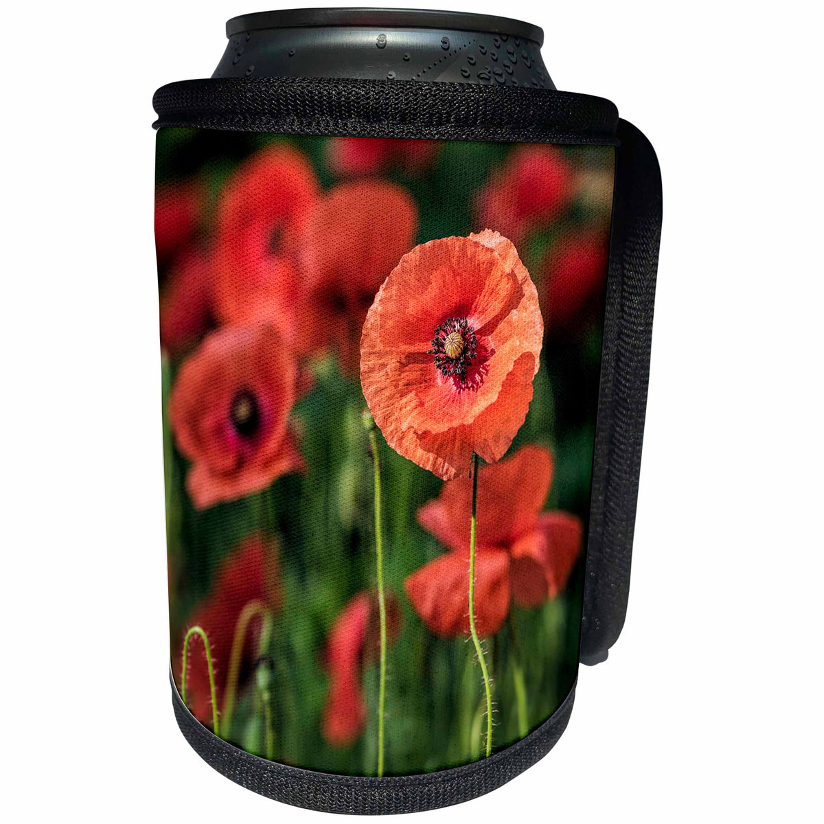 3dRose Uta Naumann Photography Flowers - Red Poppy Flowers in Meadow - Can Cooler Bottle Wrap (cc_253374)