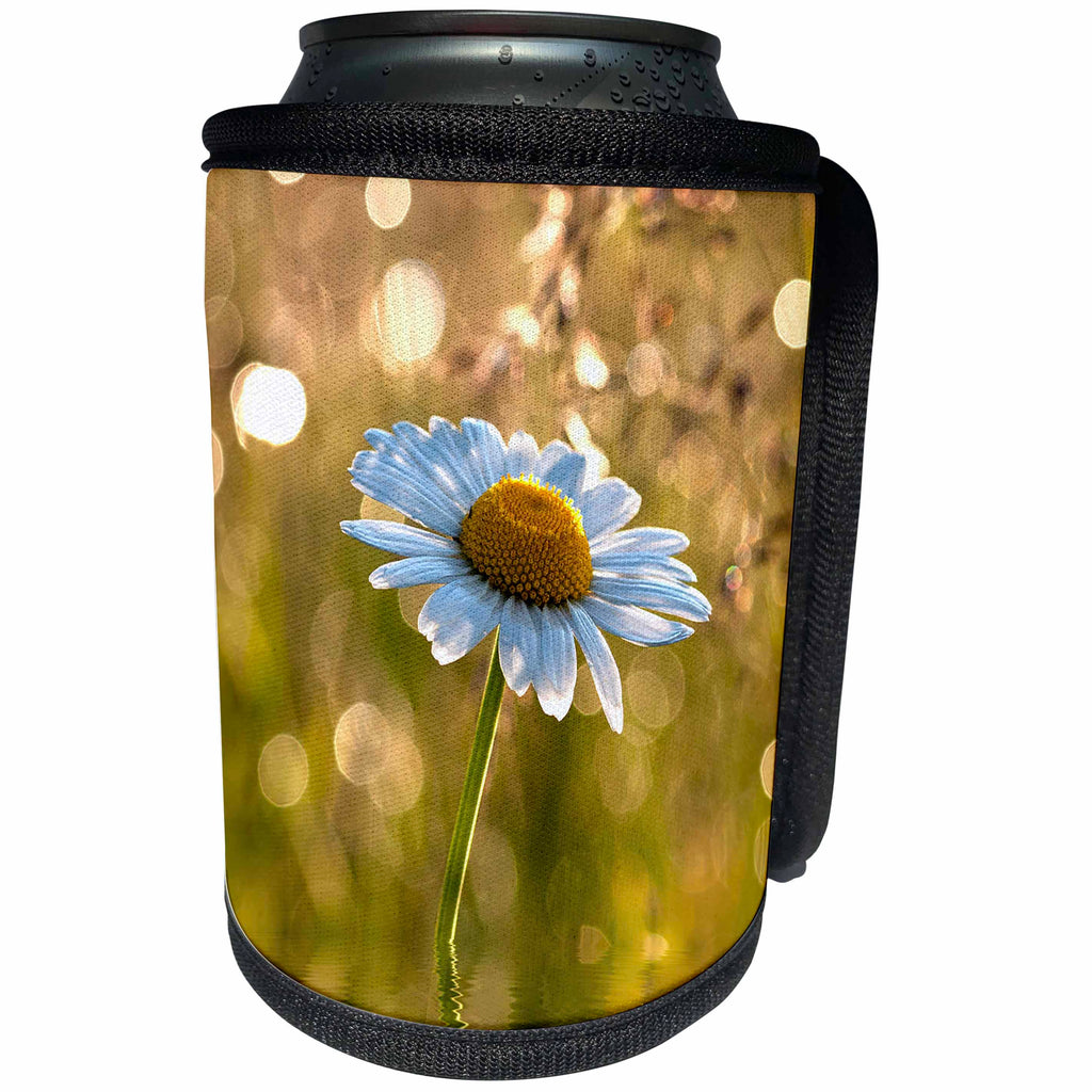 3dRose Uta Naumann Photography Flowers - Daisy in a sparkling Spring Meadow - Can Cooler Bottle Wrap (cc_253389)
