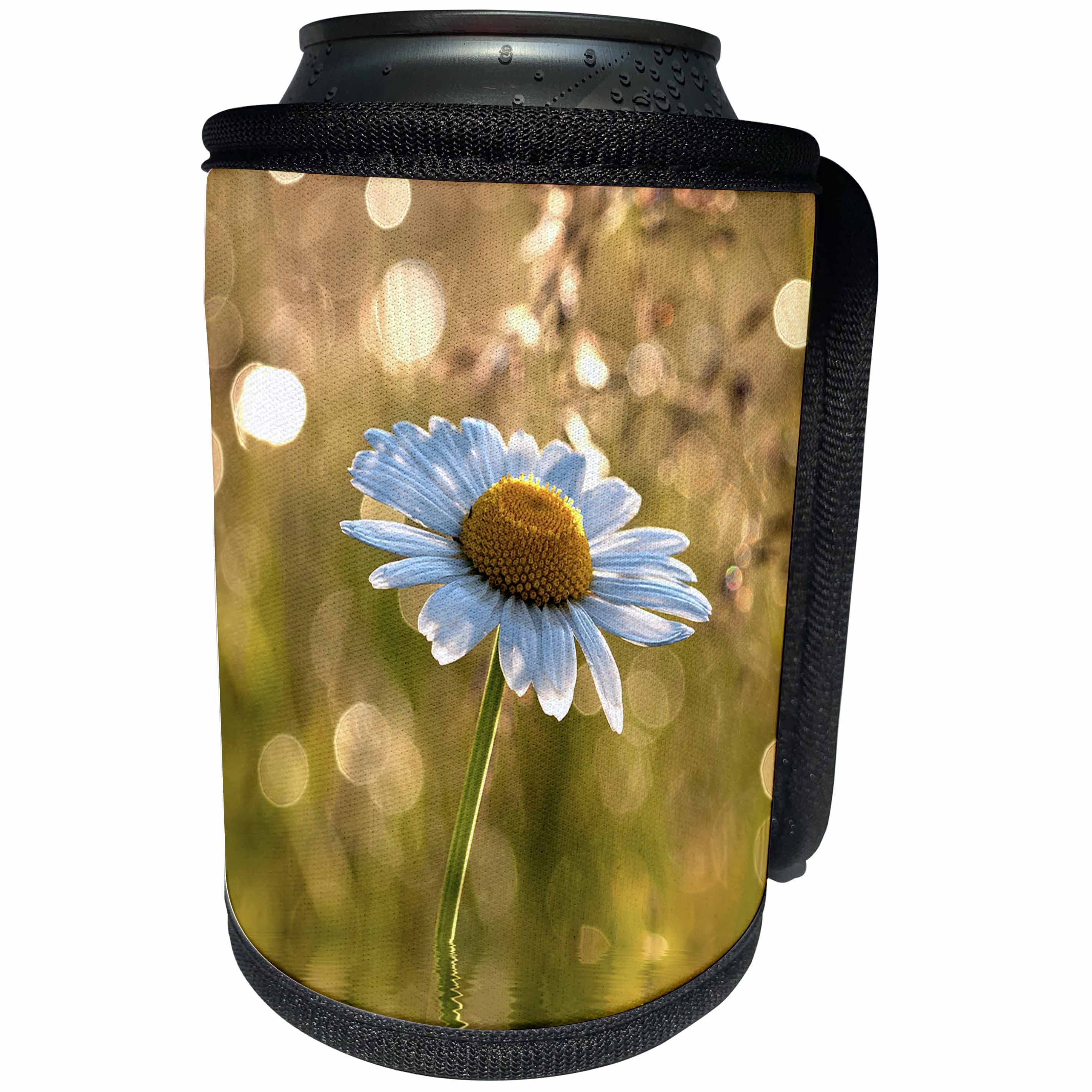 3dRose Uta Naumann Photography Flowers - Daisy in a sparkling Spring Meadow - Can Cooler Bottle Wrap (cc_253389)