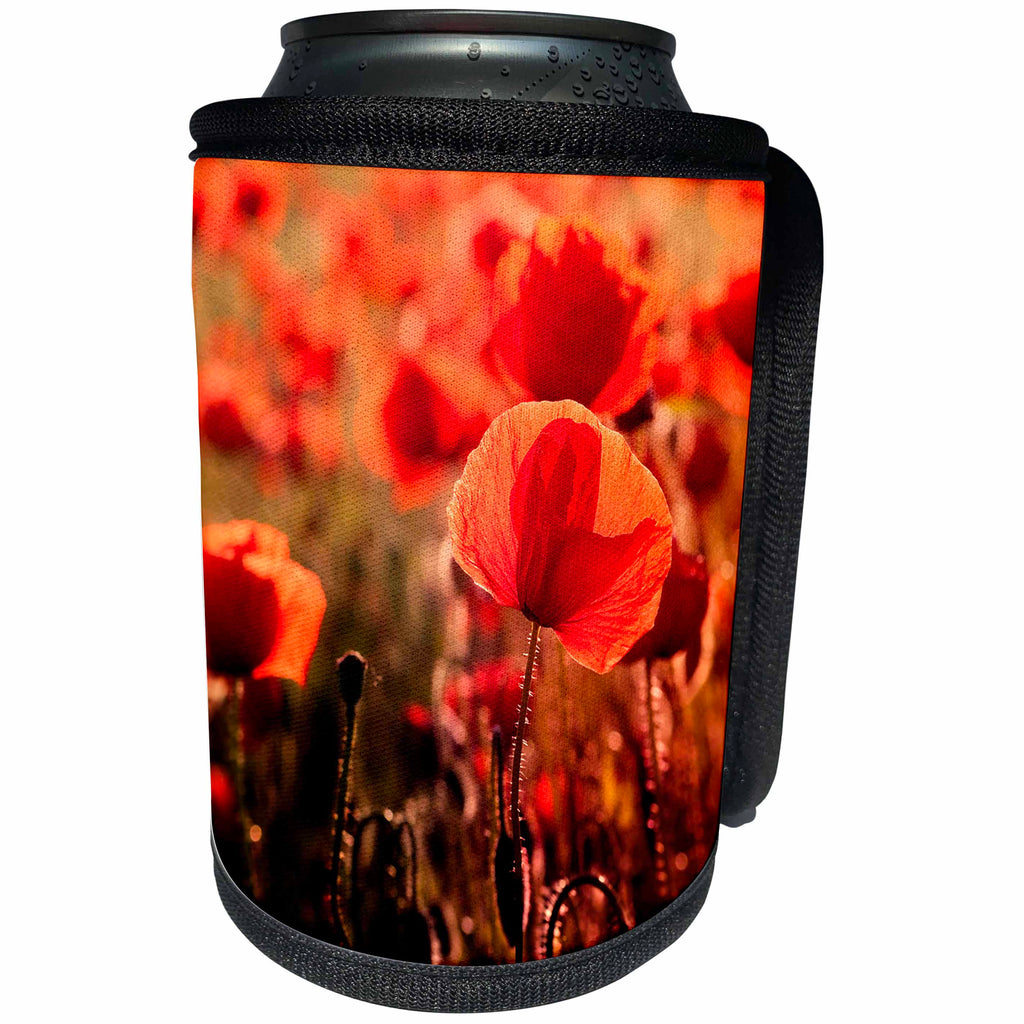 3dRose Uta Naumann Photography Flowers - Flowering Hot Red Poppy Field in Summer - Can Cooler Bottle Wrap (cc_253395)