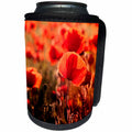 3dRose Uta Naumann Photography Flowers - Flowering Hot Red Poppy Field in Summer - Can Cooler Bottle Wrap (cc_253395)