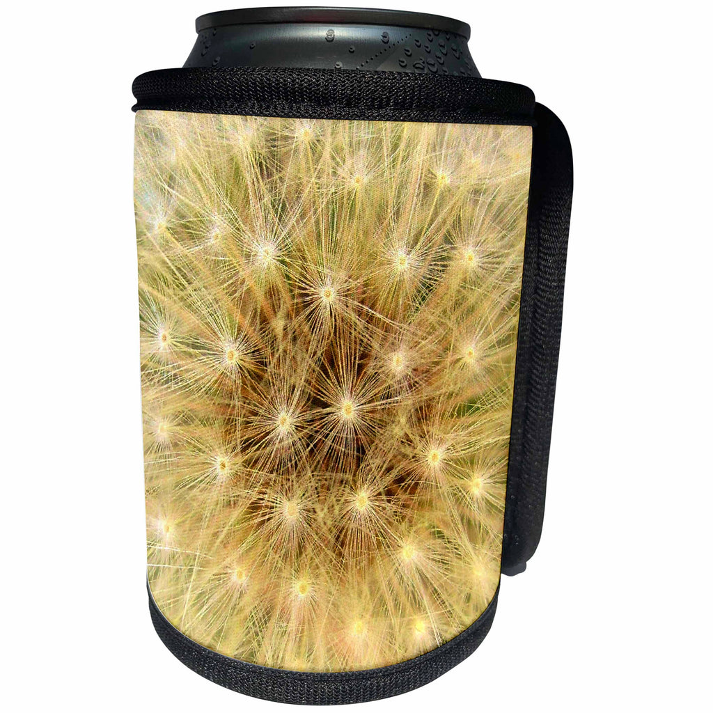 3dRose Costasonlineshop Flowers Pastel - Beige Brown Pastel Dandelion - Can Cooler Bottle Wrap (cc_253580)