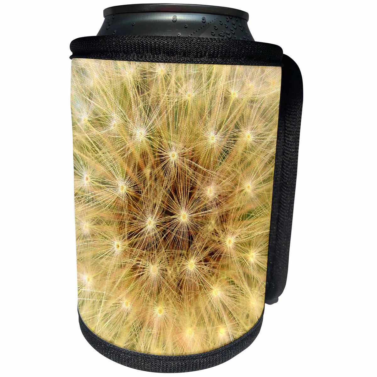 3dRose Costasonlineshop Flowers Pastel - Beige Brown Pastel Dandelion - Can Cooler Bottle Wrap (cc_253580)