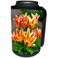 3dRose Costasonlineshop Photography Flowers - Orange Yellow Tulips - Can Cooler Bottle Wrap (cc_253617)