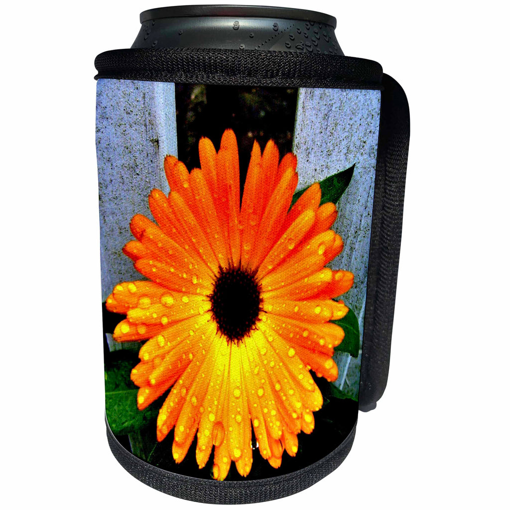 3dRose Costasonlineshop Photography Flowers - Beautiful orange marigold - Can Cooler Bottle Wrap (cc_253629)