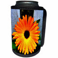 3dRose Costasonlineshop Photography Flowers - Beautiful orange marigold - Can Cooler Bottle Wrap (cc_253629)