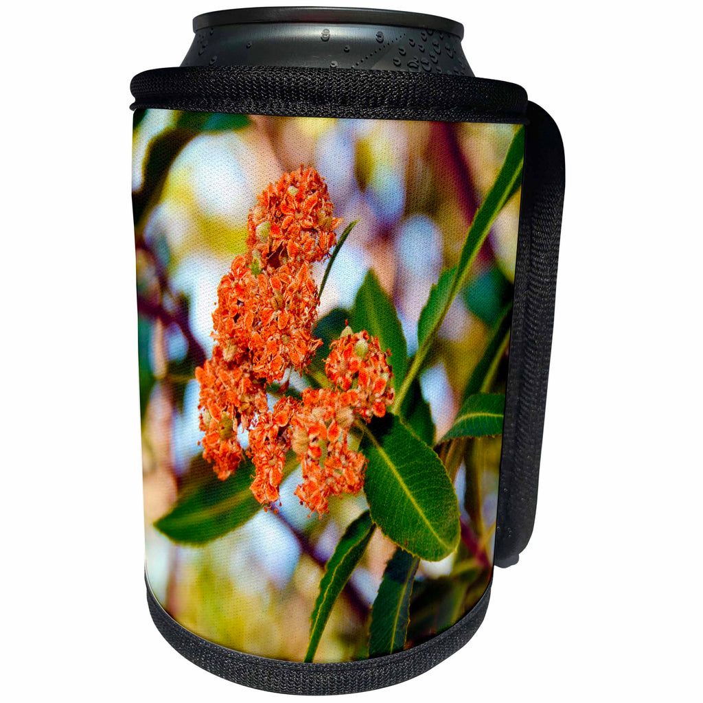 3dRose Jos Fauxtographee- Flowering Tree - A beautiful tree in spring that is budding out in orange blossoms - Can Cooler Bottle Wrap (cc_253645)