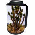 3dRose Jos Fauxtographee- Yucca Tree - A yucca tree in the Arizona Desert near Littlefield - Can Cooler Bottle Wrap (cc_253647)
