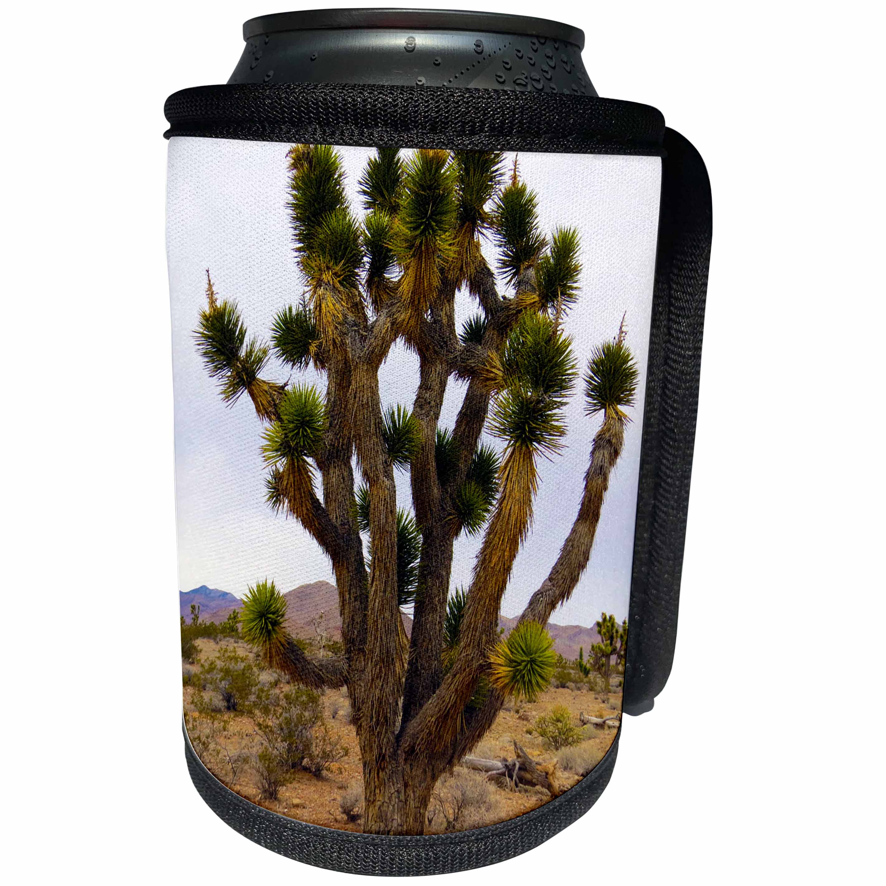 3dRose Jos Fauxtographee- Yucca Tree - A yucca tree in the Arizona Desert near Littlefield - Can Cooler Bottle Wrap (cc_253647)