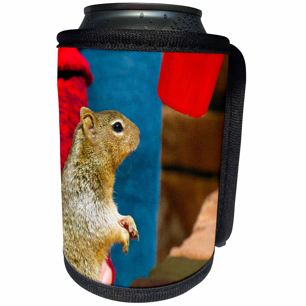 3dRose Jos Fauxtographee- Squirrel with Red Cup - A cute squirrel standing up to a persons red solo cup - Can Cooler Bottle Wrap (cc_253669)