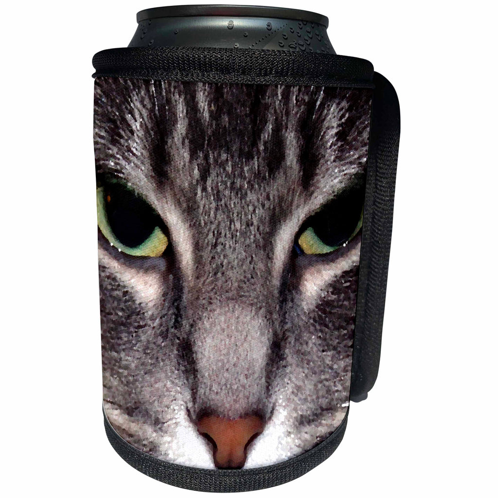 3dRose Cassie Peters Cats - Cat Face Closeup - Can Cooler Bottle Wrap (cc_253774)