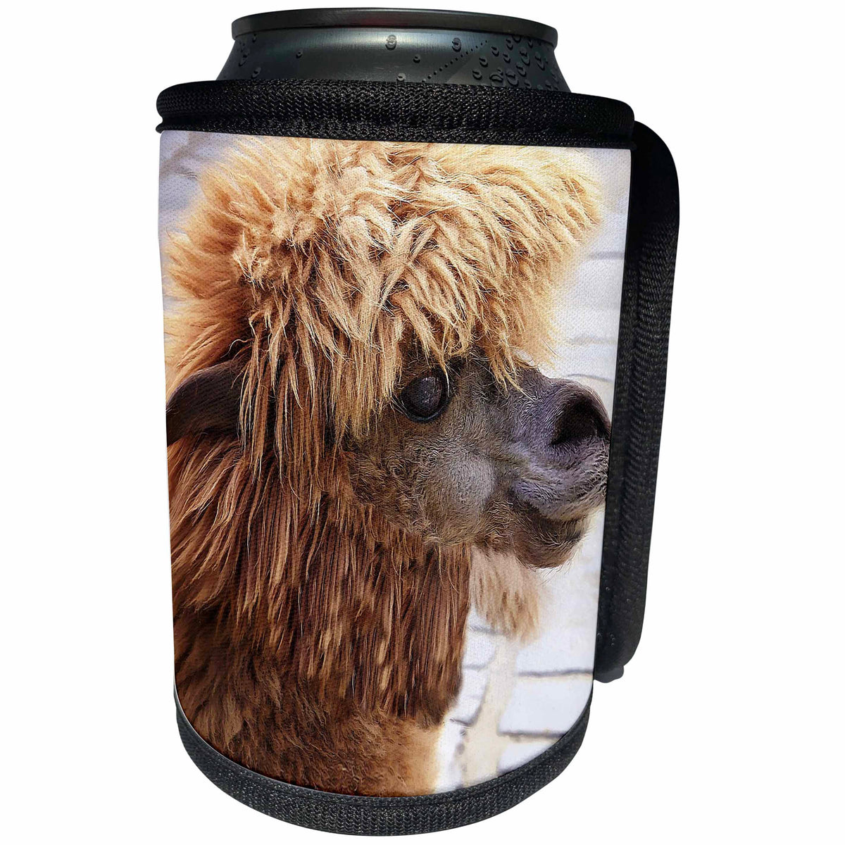 3dRose RinaPiro - Domestic Animals - Alpaca. Lama. South America. Brown. - Can Cooler Bottle Wrap (cc_253831)