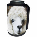 3dRose RinaPiro - Domestic Animals - Alpaca. Lama. South America. White. - Can Cooler Bottle Wrap (cc_253833)