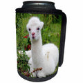 3dRose RinaPiro - Domestic Animals - Young Alpaca. Lama. South America. White. - Can Cooler Bottle Wrap (cc_253834)