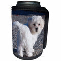 3dRose RinaPiro - Dogs - Maltese. Cute little puppy. - Can Cooler Bottle Wrap (cc_253835)
