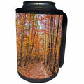 3dRose Boehm Photography Fall - Autumn Trail in The Forest - Can Cooler Bottle Wrap (cc_253993)