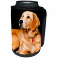 3dRose Dogs Golden Retriever - Golden Retriever - Can Cooler Bottle Wrap (cc_254)