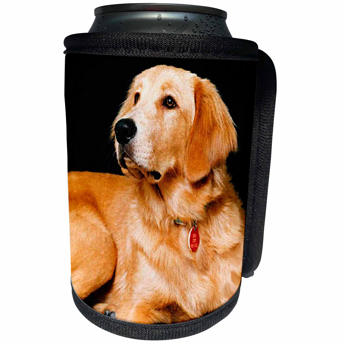 3dRose Dogs Golden Retriever - Golden Retriever - Can Cooler Bottle Wrap (cc_254)