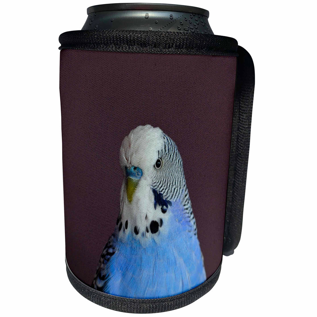 3dRose Sven Herkenrath Animal - Blue Budgie in Portrait Style Parrot Bird - Can Cooler Bottle Wrap (cc_254101)