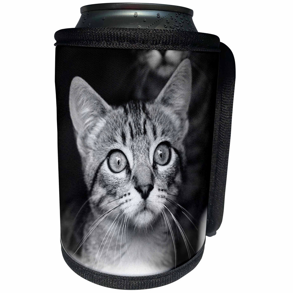 3dRose Sven Herkenrath Animal - Cute Vintage Antique Cat Portrait Style - Can Cooler Bottle Wrap (cc_254103)