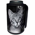 3dRose Sven Herkenrath Animal - Cute Vintage Antique Cat Portrait Style - Can Cooler Bottle Wrap (cc_254103)