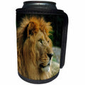 3dRose Sven Herkenrath Animal - Portrait of African Wildlife Lion Animal Style - Can Cooler Bottle Wrap (cc_254152)