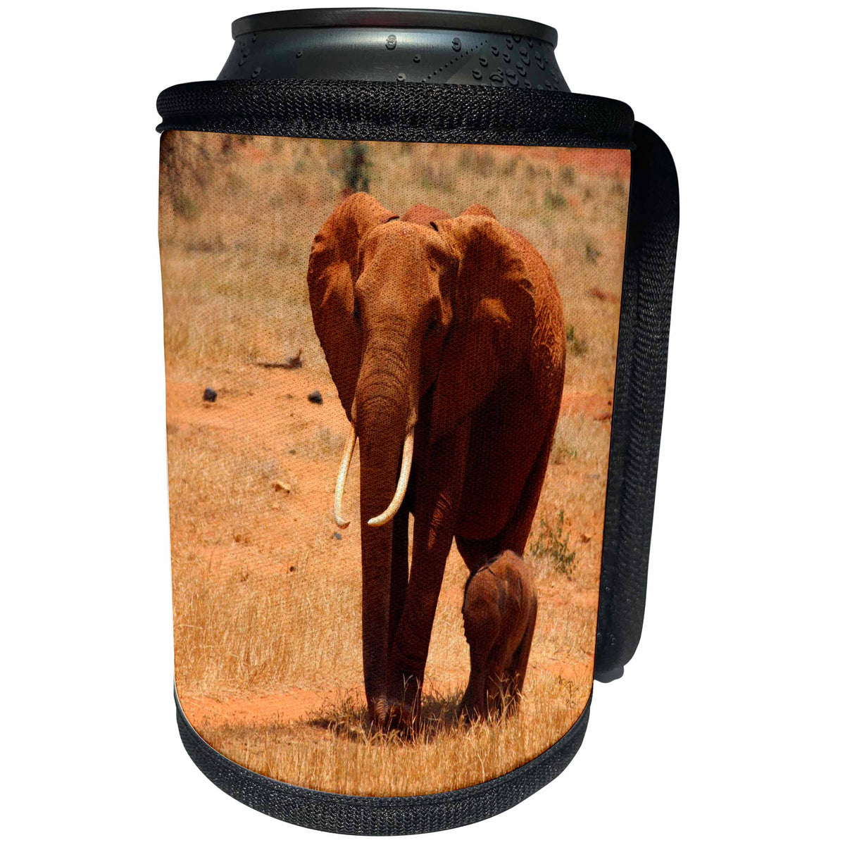 3dRose Sven Herkenrath Animal - Mother and Baby Elephant in Africa Nature Animal Portrait Wildlife - Can Cooler Bottle Wrap (cc_254334)