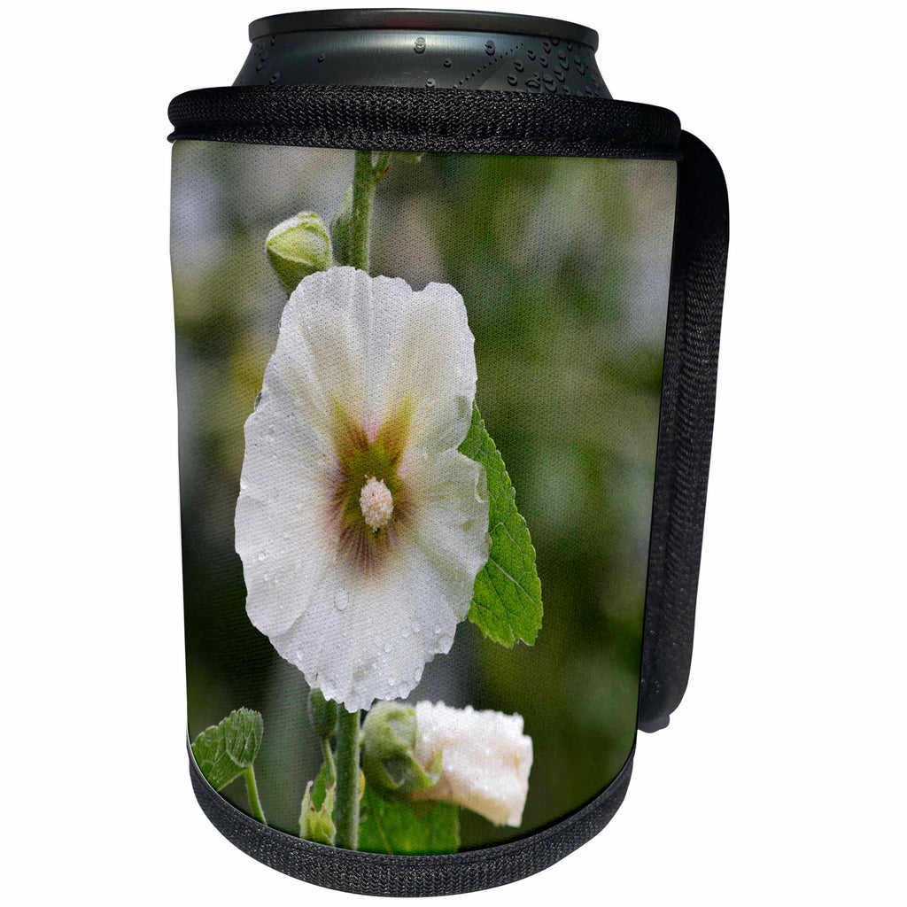 3dRose Beverly Turner Flora Photography - Cream Hollyhock Flower with Rain Drops - Can Cooler Bottle Wrap (cc_254455)