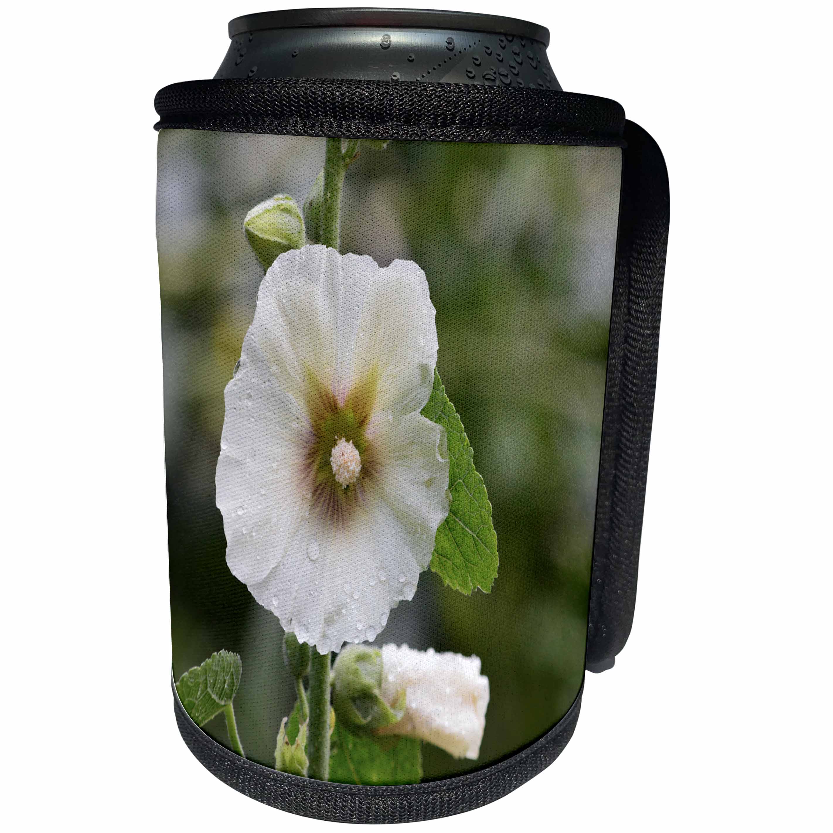 3dRose Beverly Turner Flora Photography - Cream Hollyhock Flower with Rain Drops - Can Cooler Bottle Wrap (cc_254455)