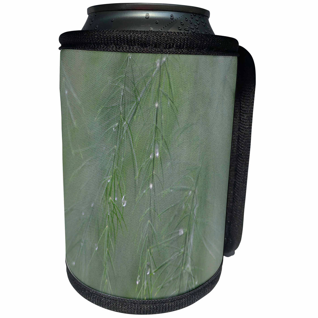 3dRose Beverly Turner Nature Photography - Asparagus Leaves after the Rain - Can Cooler Bottle Wrap (cc_254456)