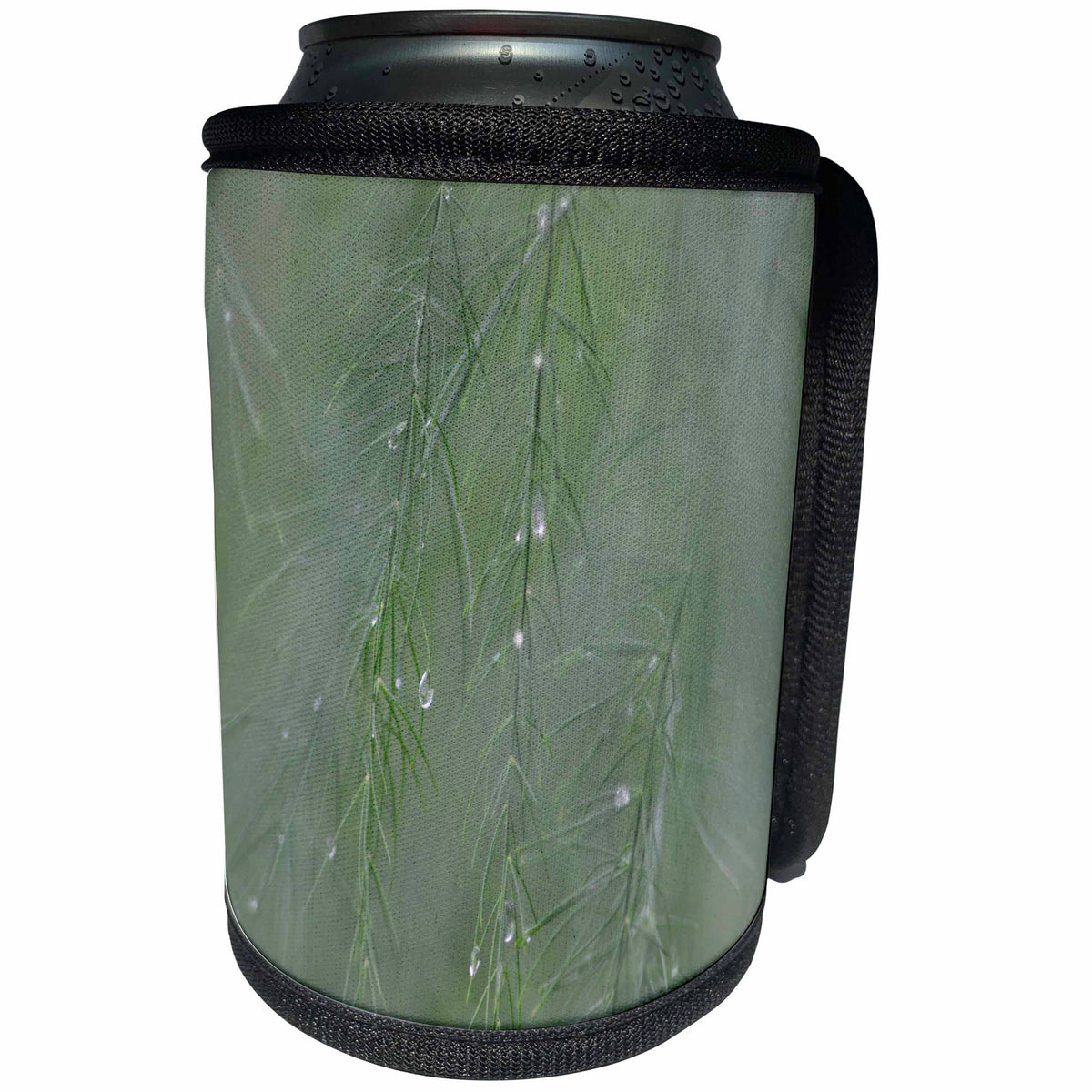 3dRose Beverly Turner Nature Photography - Asparagus Leaves after the Rain - Can Cooler Bottle Wrap (cc_254456)