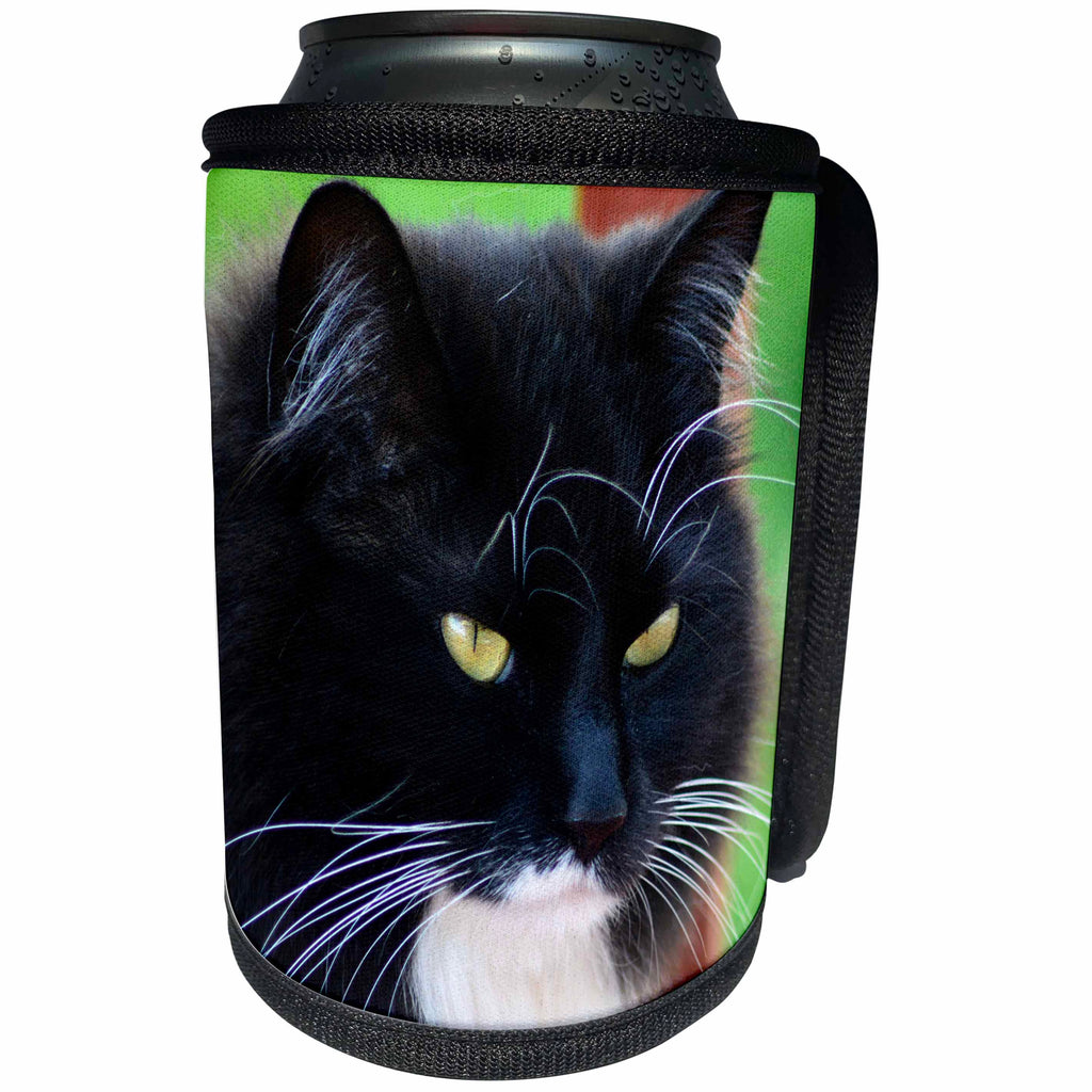 3dRose Beverly Turner Cat Photography - Close up of Black and White Kitty Cat - Can Cooler Bottle Wrap (cc_254461)