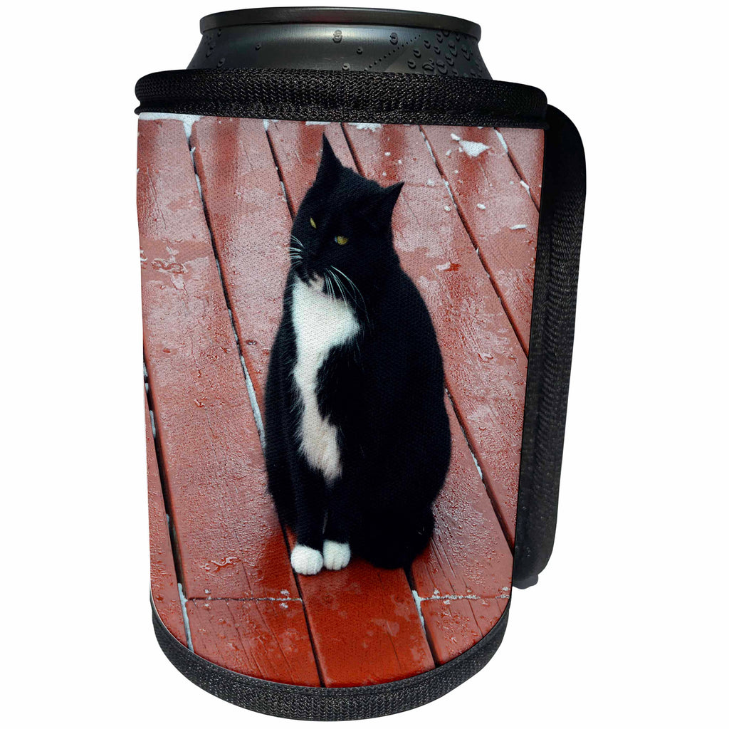 3dRose Beverly Turner Cat Photography - Little Fat Black and White Kitty on Deck - Can Cooler Bottle Wrap (cc_254465)