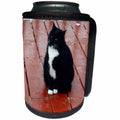 3dRose Beverly Turner Cat Photography - Little Fat Black and White Kitty on Deck - Can Cooler Bottle Wrap (cc_254465)