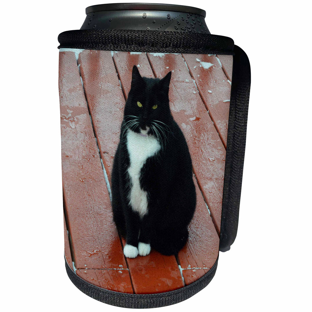 3dRose Beverly Turner Cat Photography - Black and White Kitty with an Attitude - Can Cooler Bottle Wrap (cc_254466)