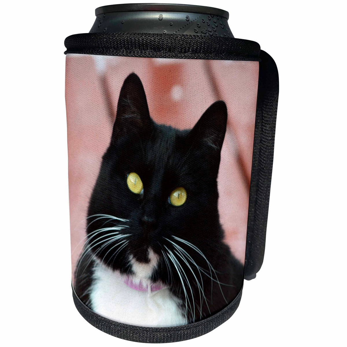 3dRose Beverly Turner Cat Photography - Close up of Bright Eyed Black and White Kitty - Can Cooler Bottle Wrap (cc_254467)