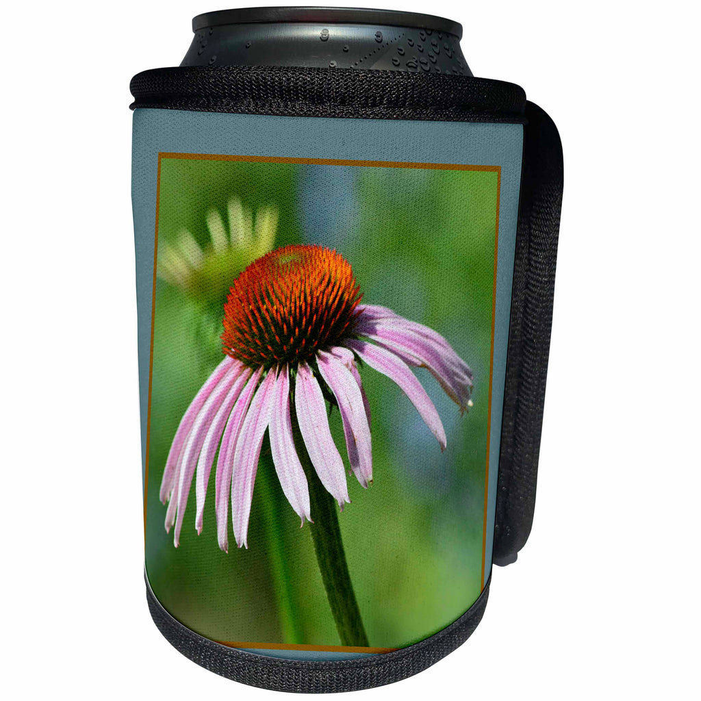 3dRose Beverly Turner Flora Photography - Pretty Purple Cone Flower - Can Cooler Bottle Wrap (cc_254468)
