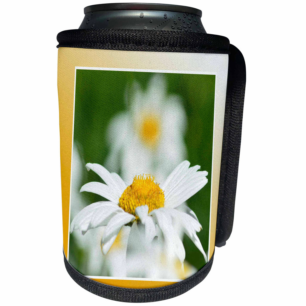 3dRose Beverly Turner Flora Photography - Beautiful Shasta Daisies, Framed in Yellow - Can Cooler Bottle Wrap (cc_254471)