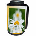 3dRose Beverly Turner Flora Photography - Beautiful Shasta Daisies, Framed in Yellow - Can Cooler Bottle Wrap (cc_254471)