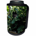3dRose Beverly Turner Cat Photography - Cute Little Jungle Cat - Can Cooler Bottle Wrap (cc_254472)