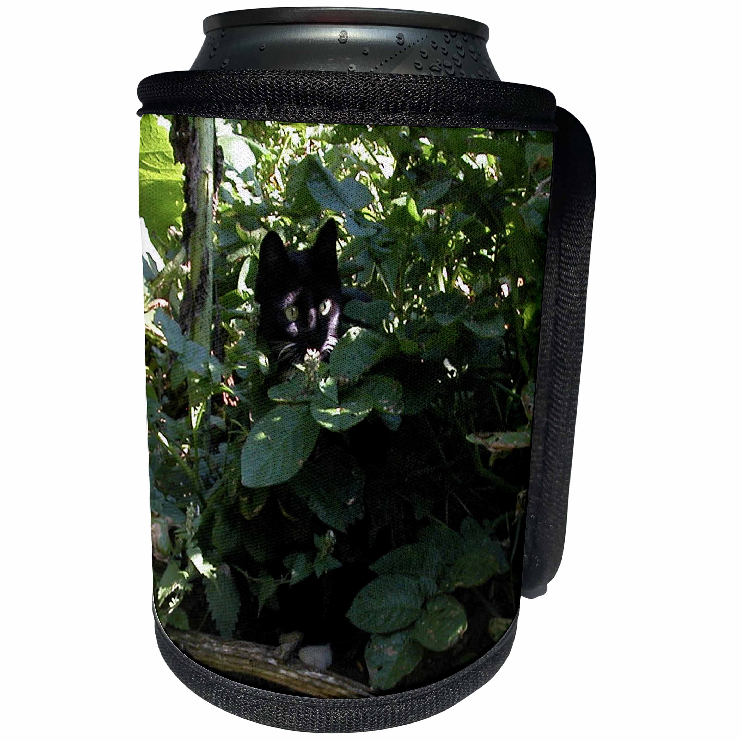 3dRose Beverly Turner Cat Photography - Cute Little Jungle Cat - Can Cooler Bottle Wrap (cc_254472)