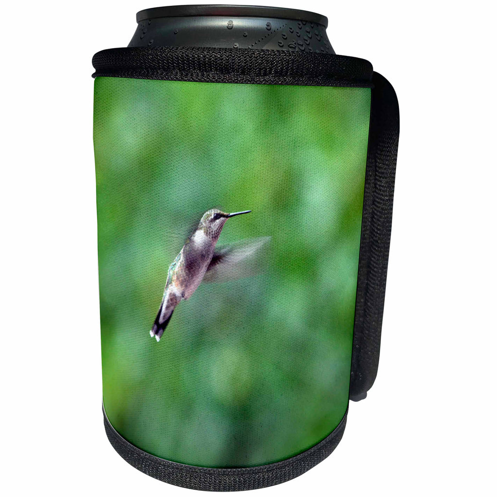 3dRose Beverly Turner Bird Photography - Female Ruby Throat ed Hummingbirds Flying - Can Cooler Bottle Wrap (cc_254486)
