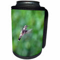 3dRose Beverly Turner Bird Photography - Female Ruby Throat ed Hummingbirds Flying - Can Cooler Bottle Wrap (cc_254486)
