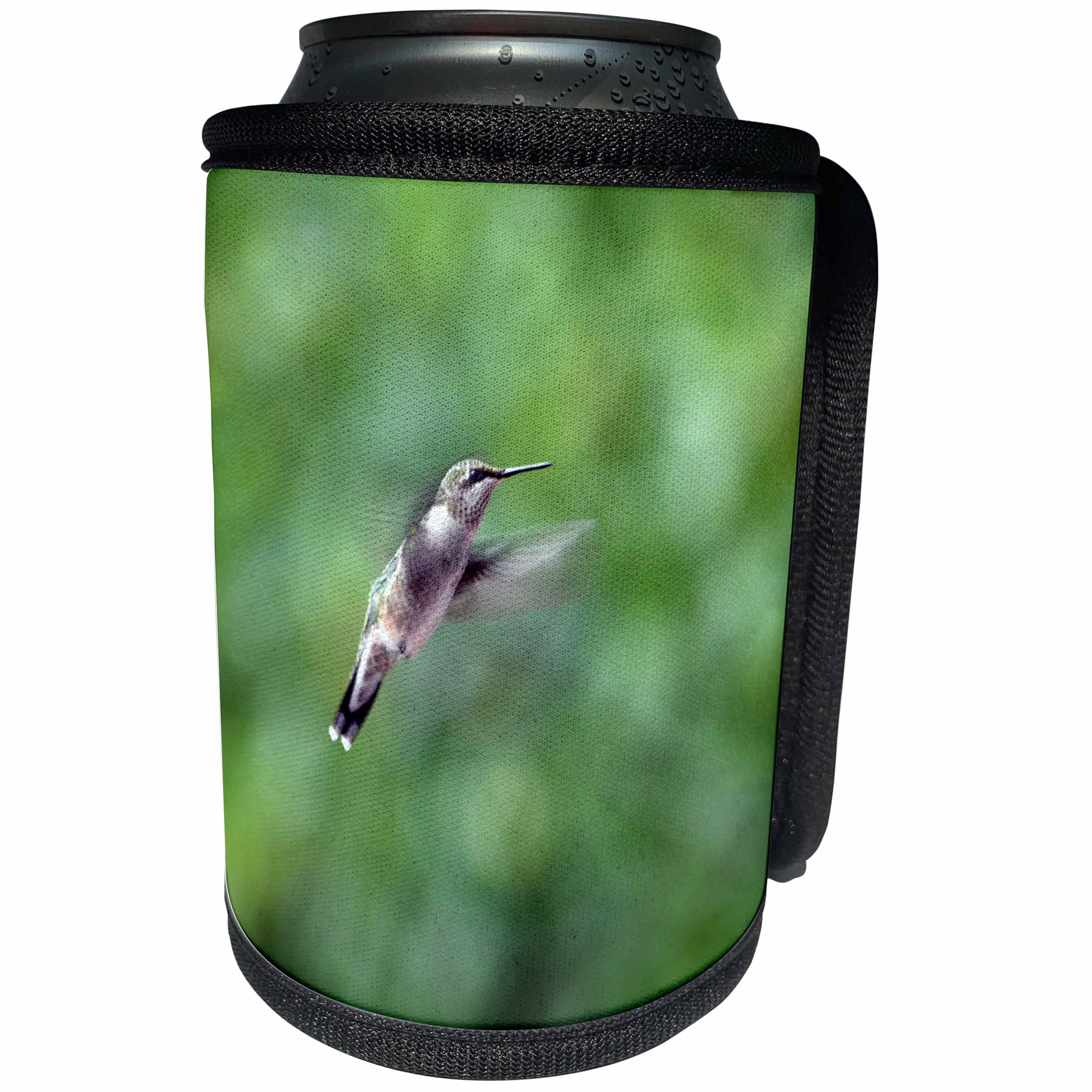 3dRose Beverly Turner Bird Photography - Female Ruby Throat ed Hummingbirds Flying - Can Cooler Bottle Wrap (cc_254486)