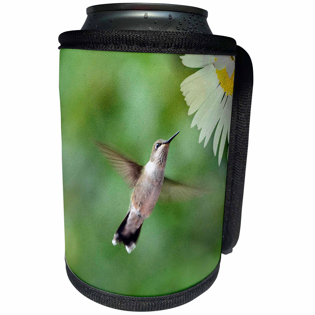 3dRose Beverly Turner Bird Photography - Female Ruby Throat ed Hummingbirds Flying to Flower - Can Cooler Bottle Wrap (cc_254487)