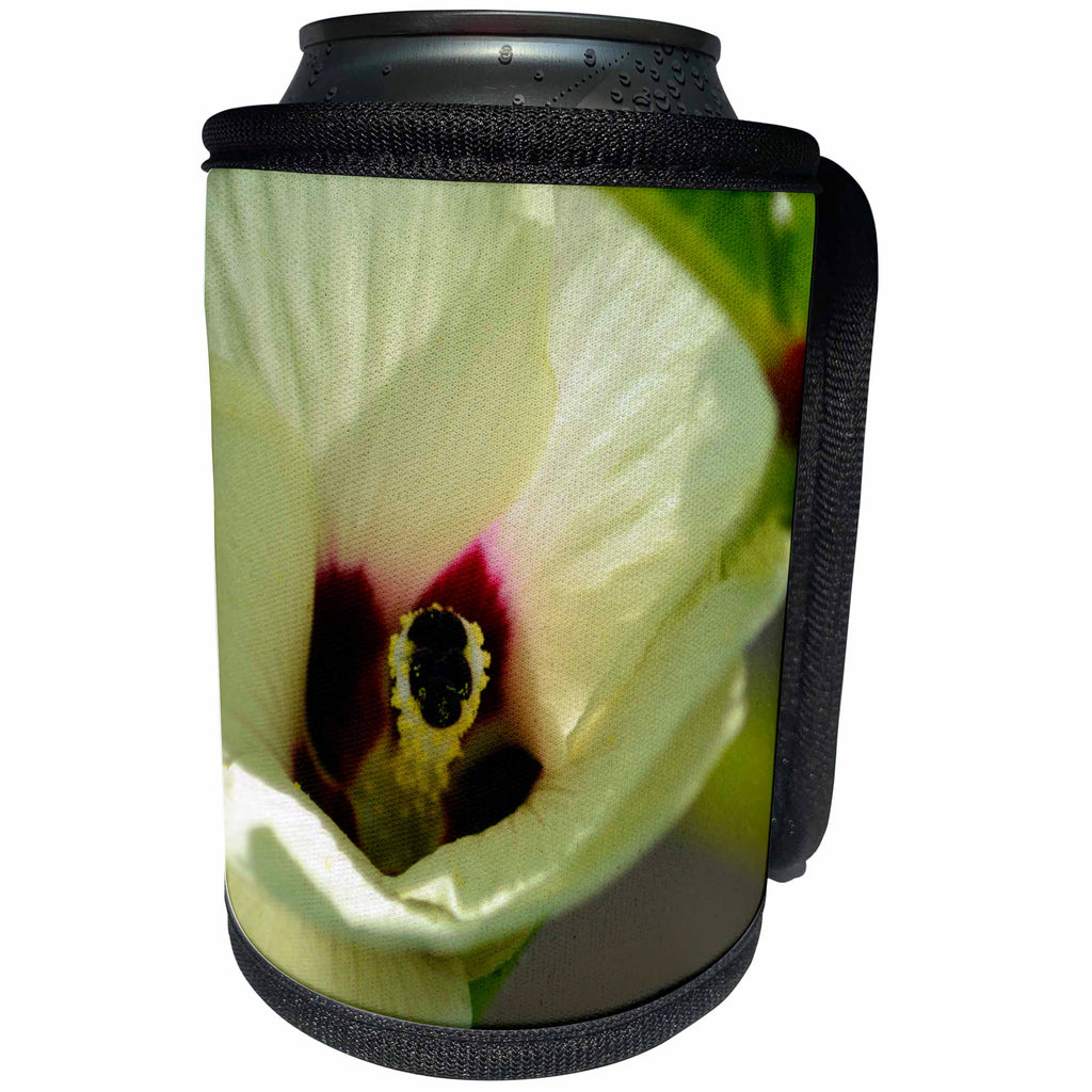 3dRose Beverly Turner Flora Photography - Okra Flower, Pastel Yellow and Maroon Center, Close up - Can Cooler Bottle Wrap (cc_254492)