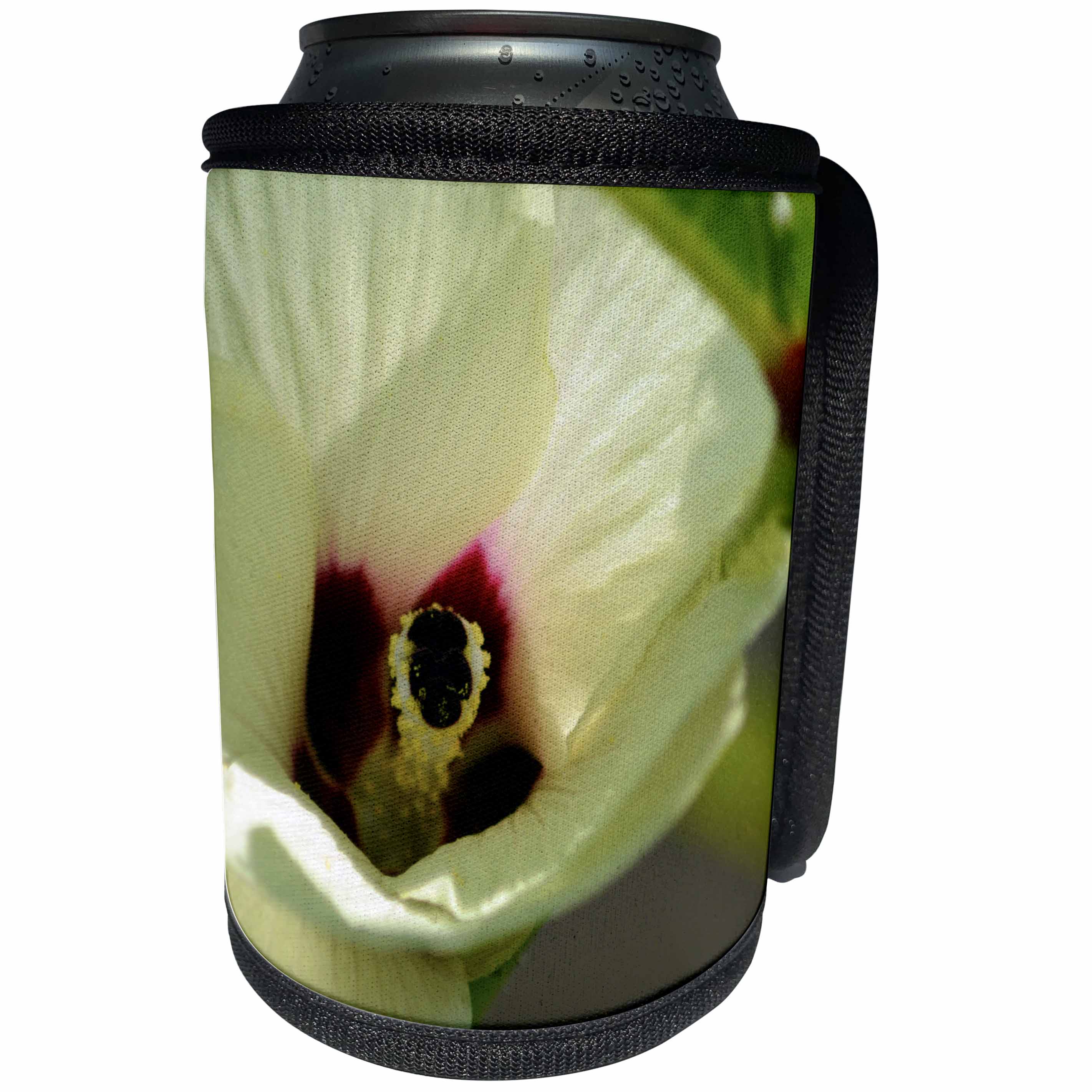 3dRose Beverly Turner Flora Photography - Okra Flower, Pastel Yellow and Maroon Center, Close up - Can Cooler Bottle Wrap (cc_254492)