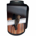 3dRose Beverly Turner Bird Photography - Sparrow on a Glass Window with Shadow of Little Bird - Can Cooler Bottle Wrap (cc_254498)