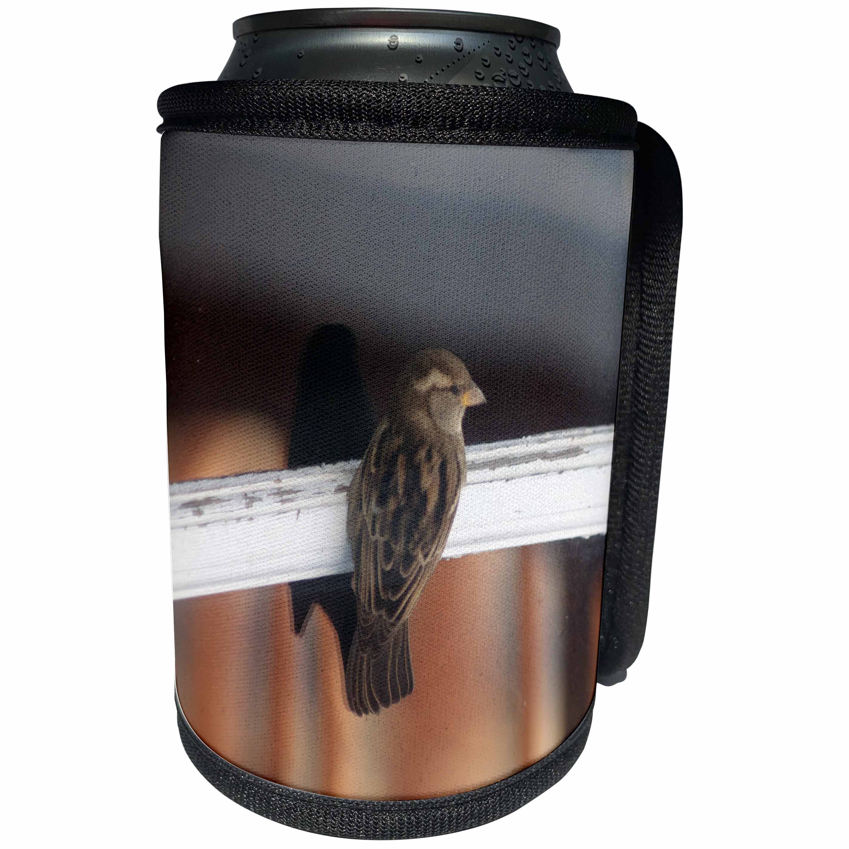 3dRose Beverly Turner Bird Photography - Sparrow on a Glass Window with Shadow of Little Bird - Can Cooler Bottle Wrap (cc_254498)