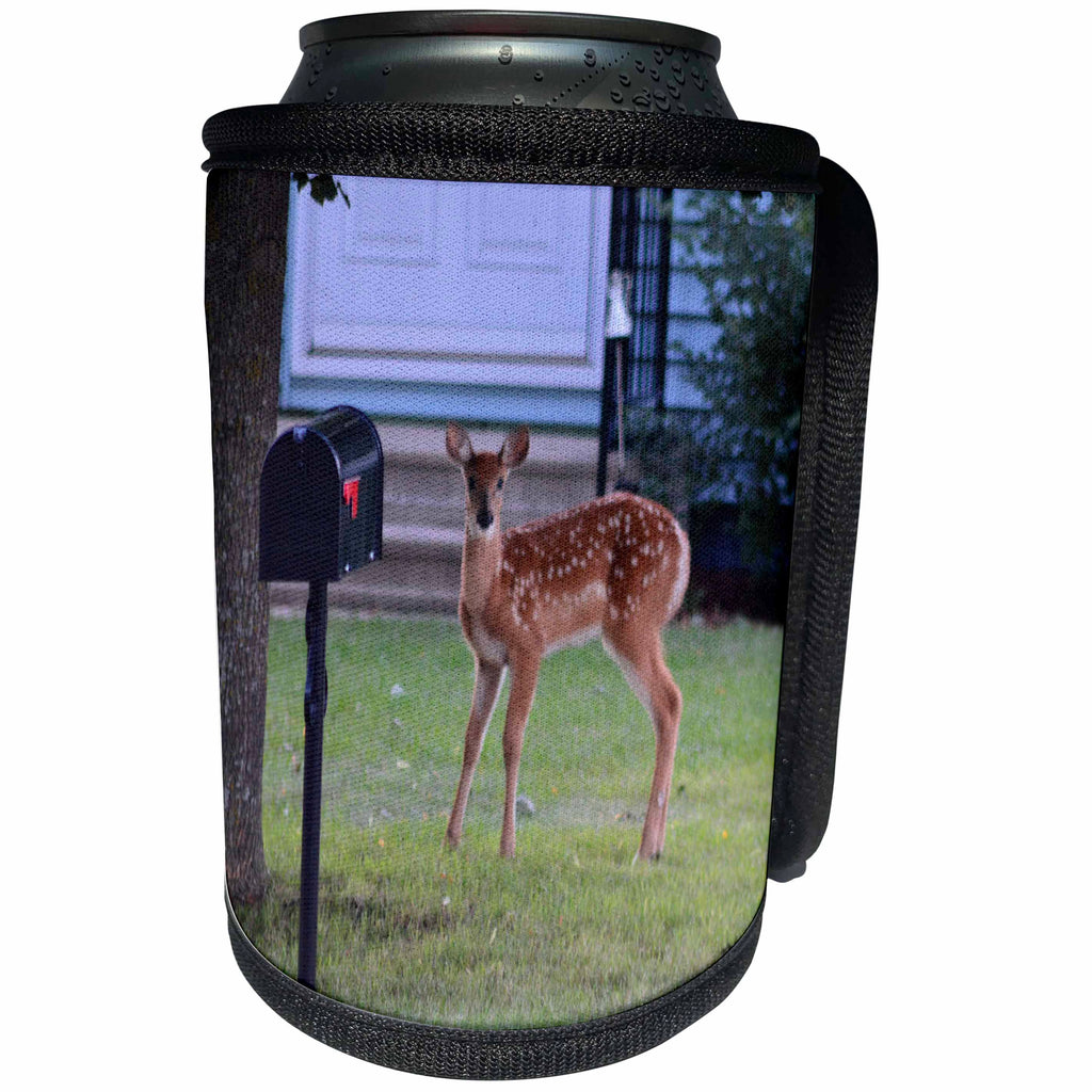 3dRose Beverly Turner Deer Photography - Fawn at the Mailbox - Can Cooler Bottle Wrap (cc_254500)
